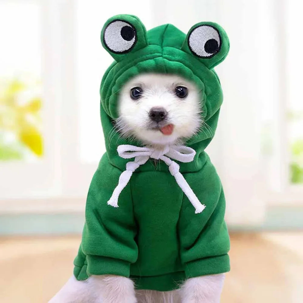 Cute Frog Pet Sweater Puppy Hoodie Pet Clothes Clothes for a Dog Jumper Apparels Dogs Accessories Clothing Dog´s Suit Outfit